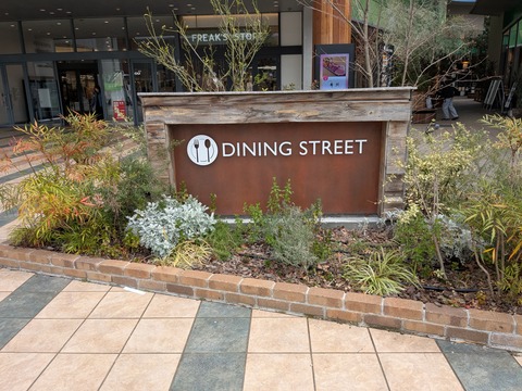 PXL_20250401_044137967