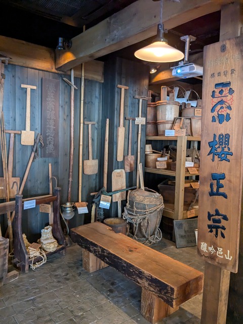 PXL_20241010_030745063