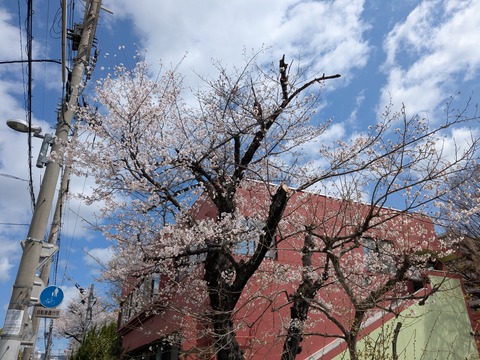 PXL_20250404_031431944