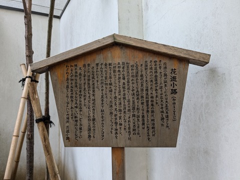 PXL_20241015_021904831