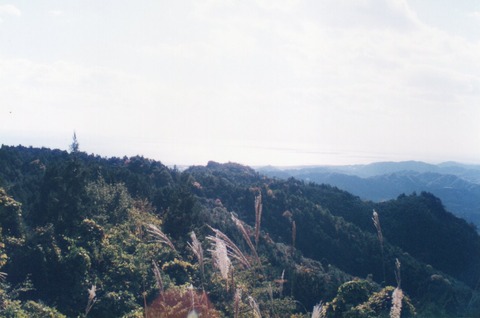 img20231016_15040878