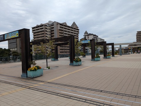PXL_20251021_054142355