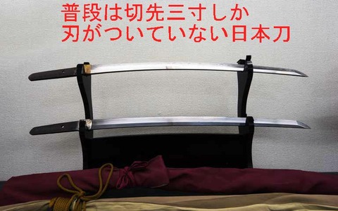 新令和日本史編纂所 日本史 新令和日本史編纂所 日本史