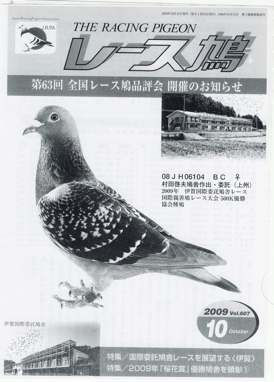 レース鳩 本日から ブログを始めますので 皆様 宜しくお願い致します 千葉東の空で戦う 我が家のレース鳩達