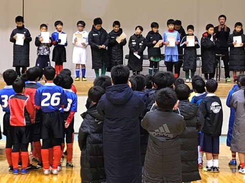 line_2045489798013069