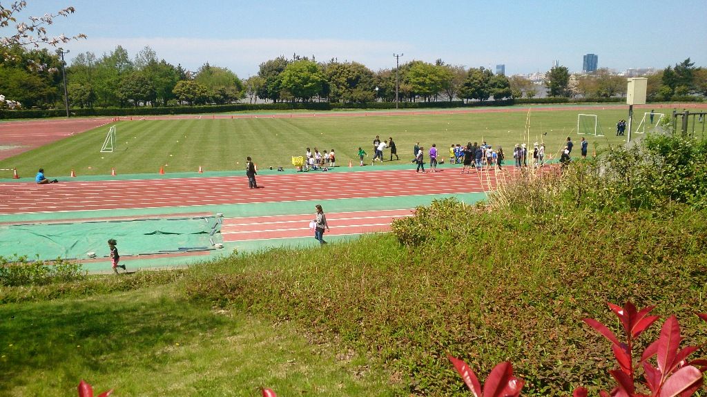 イメージ 1