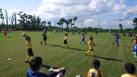 DSCPDC_0001_BURST20200921143525946_COVER