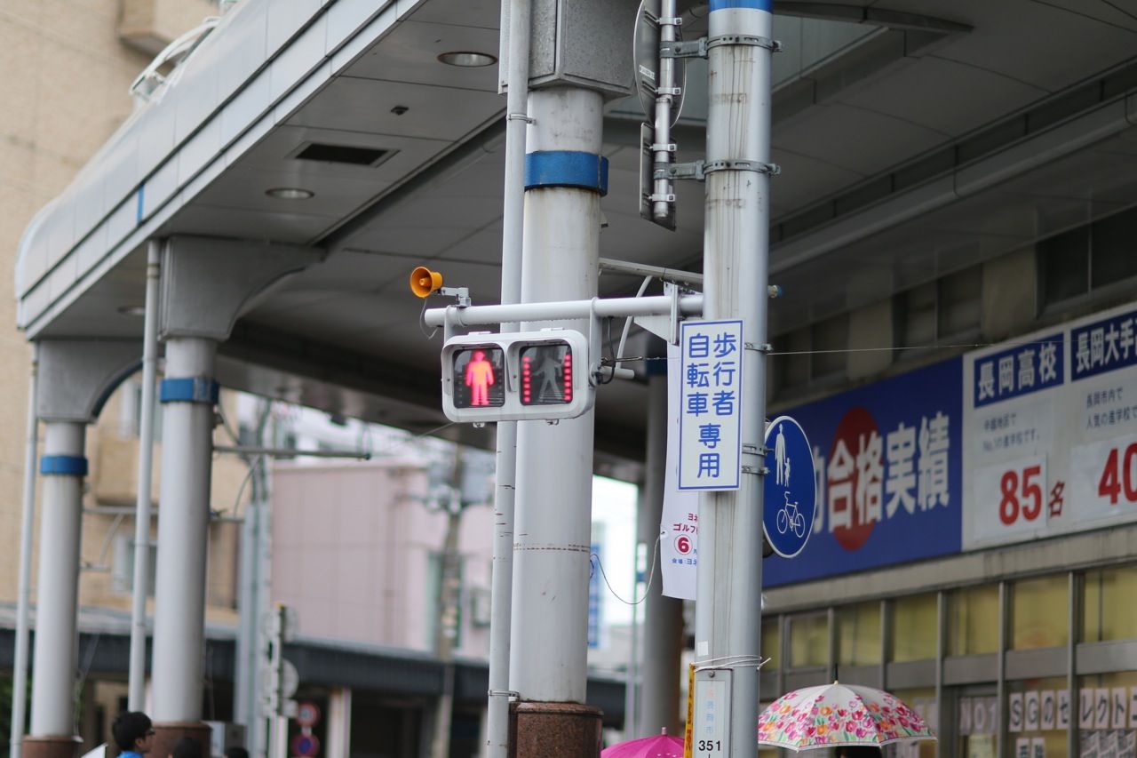 縦か横か 新潟の信号機レポート 縦か横か 新潟の信号機レポート