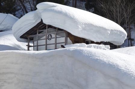 ¾®Ã«Â¼DSC06790