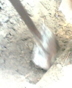 �����५�ץ���