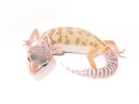 20230214193629_IMG_5405~2