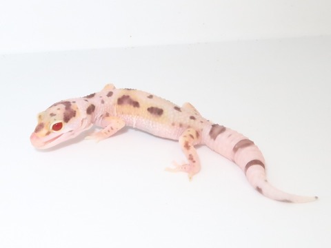 20230214193308_IMG_5388~2