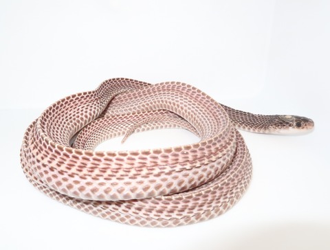 20230126133748_IMG_5331