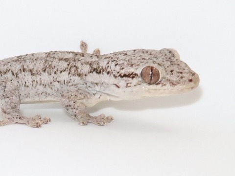 20230126142844_IMG_5351~3