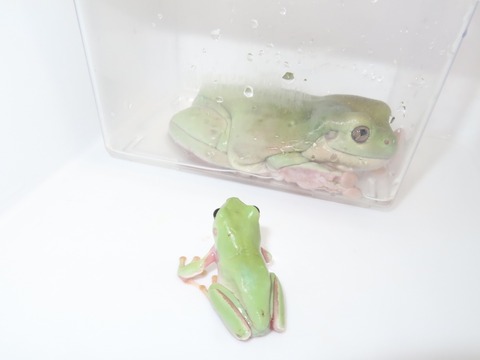 20230308160546_IMG_0142~2