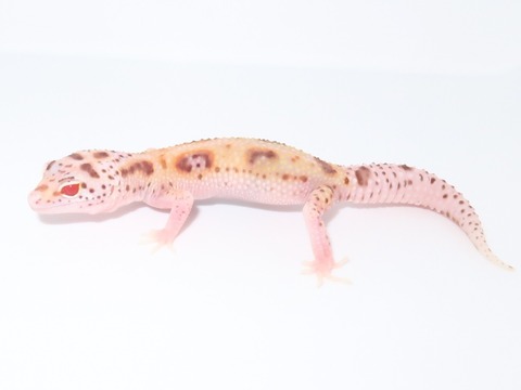 20231005162334_IMG_2817~2