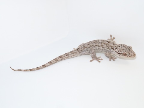 20230126142839_IMG_5350~2