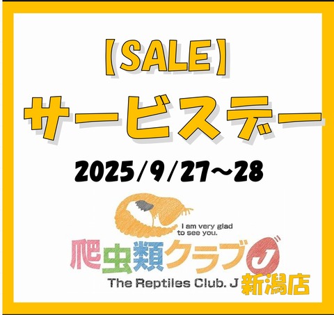 09サービスデー