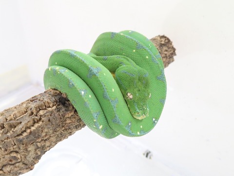 20230126105246_IMG_5196~2