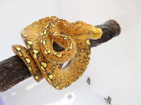 20230126105422_IMG_5198~2