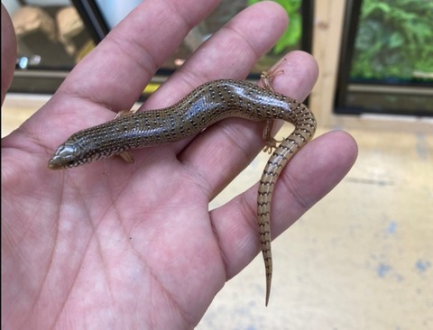 Screenshot_20210919-235316_LINE