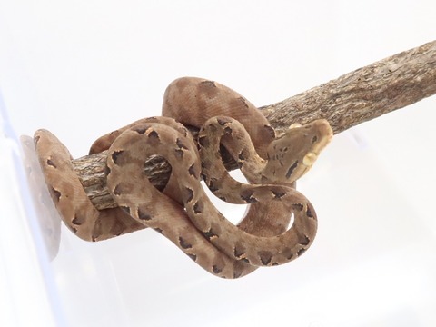 20230126110208_IMG_5213~2