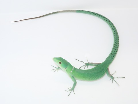 20220213140734_IMG_1911~2