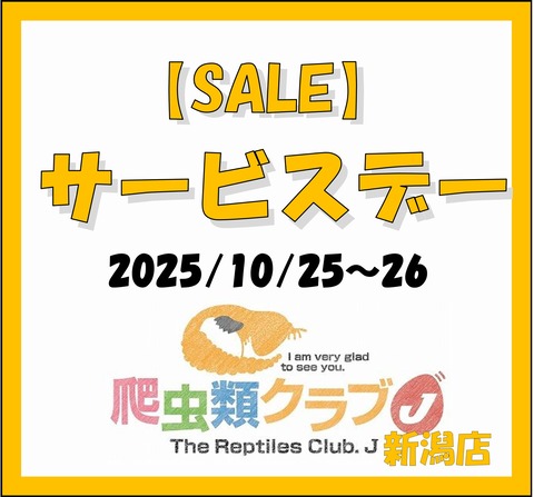 10サービスデー