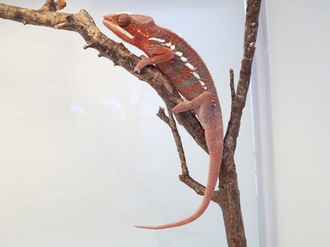 20230126110928_IMG_5225~2