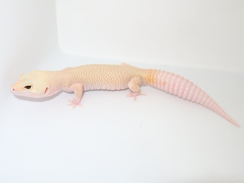 20230508144505_IMG_0597~2