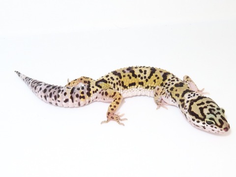 20230508144614_IMG_0603~2