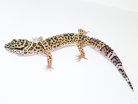 20230508144634_IMG_0604~2