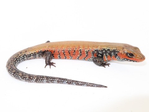 20220213135334_IMG_1899~2