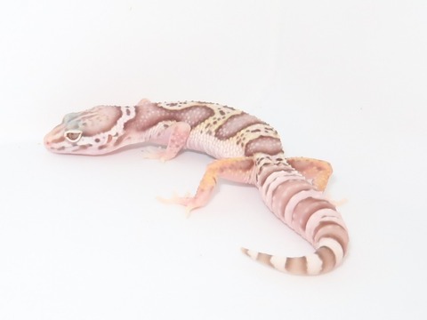 20230214193403_IMG_5392~2