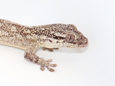 20230126142952_IMG_5352~2