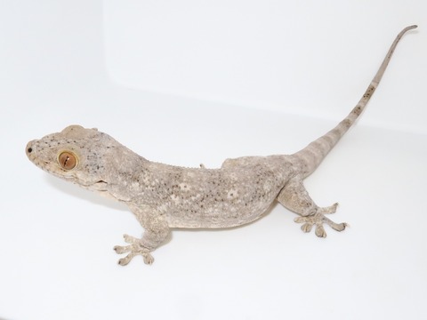 20230126143131_IMG_5356~2