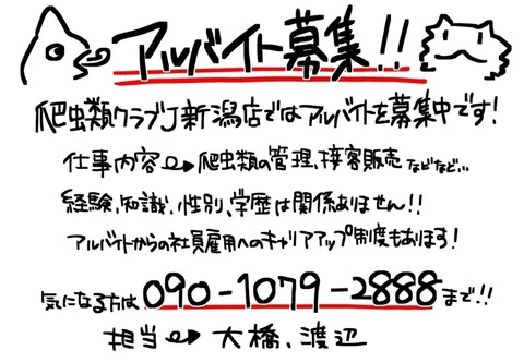 Screenshot_20220425-182547_Scene
