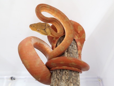 20230126110000_IMG_5206~2