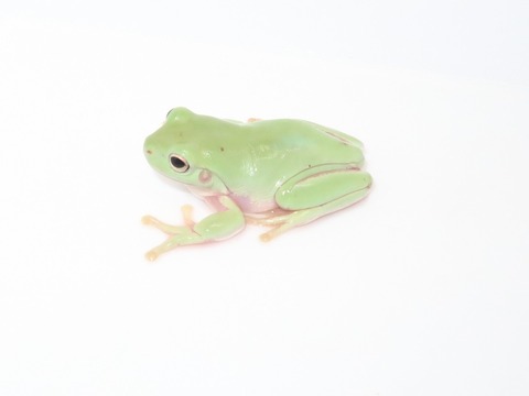 20230308160427_IMG_0140~2