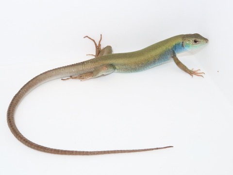 20220213141027_IMG_1916~2