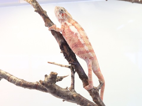 20230126111035_IMG_5227~2