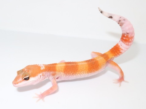 20230508144203_IMG_0586~2