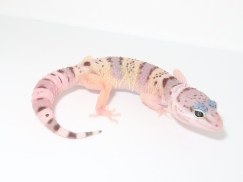 20230508144545_IMG_0600~2