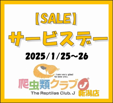 サービスデー