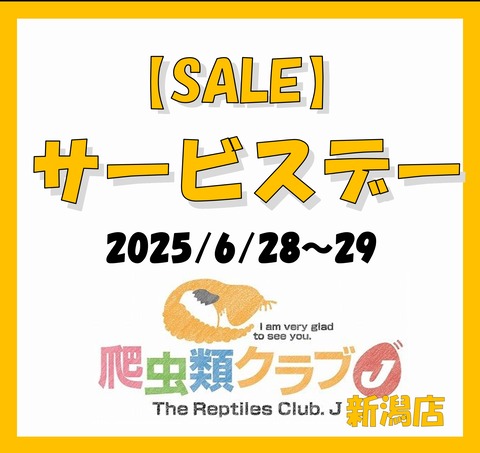 06サービスデー