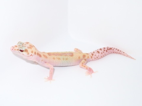 20231005162011_IMG_2800~2