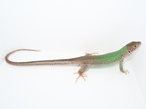 20220213140925_IMG_1914~2