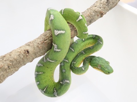 20230126110509_IMG_5217~2