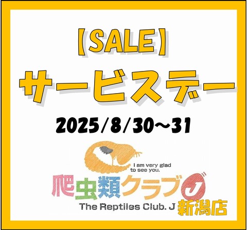 08サービスデー