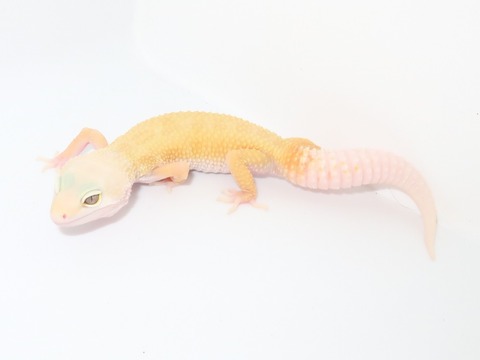 20230508144431_IMG_0594~2